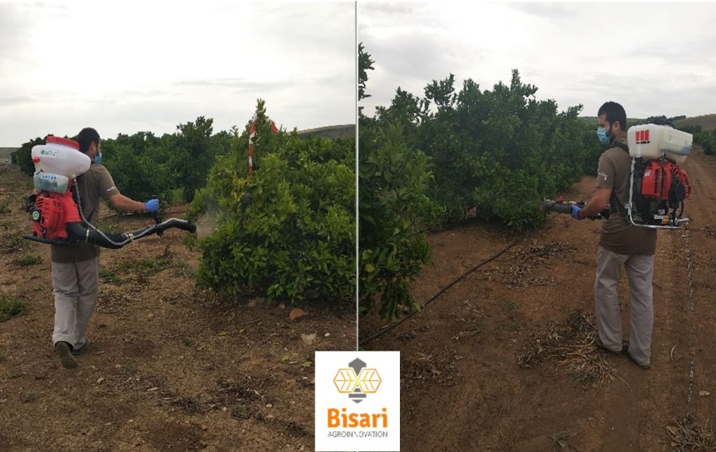 Bisari-Naranjo